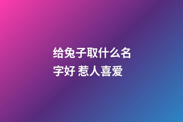 给兔子取什么名字好 惹人喜爱